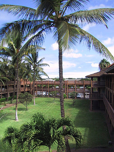 Hotelanlage auf Maui Fotos