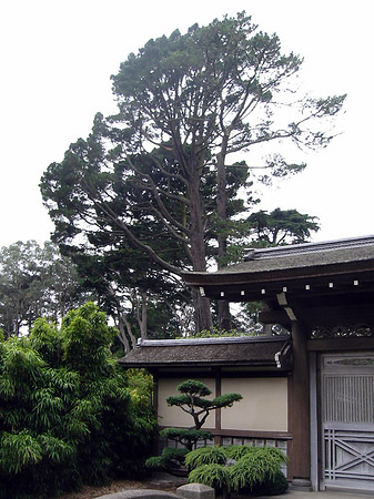 Golden Gate Park mit Botanischen Garten Fotos