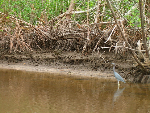 Fotos Fluss | 