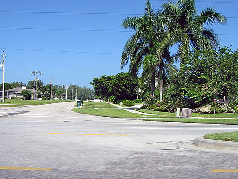 Fotos Straßenrand auf Marco Island | Marco Island