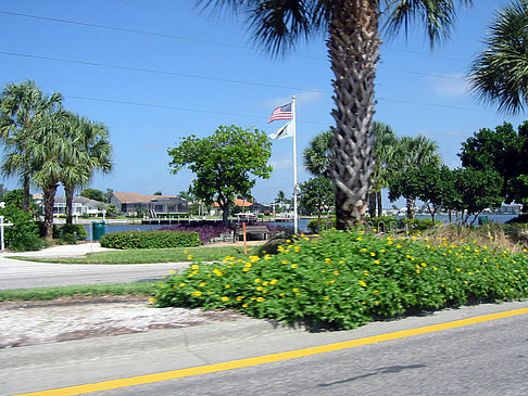 Foto Straßenrand auf Marco Island