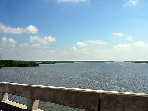 Fotos Straßenrand auf Marco Island