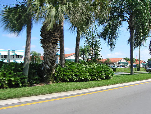 Straßenrand auf Marco Island