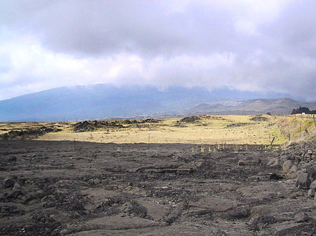 Foto Erstarrte Lava - 