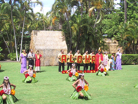 Hula Show Fotos