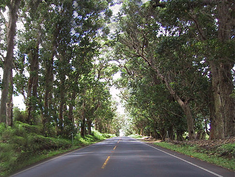 Fotos Straßen auf Kauai | 