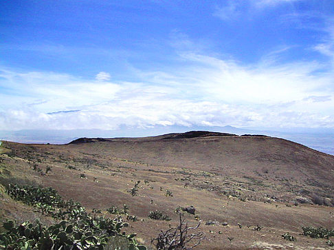 Trockene Landschaft Fotos