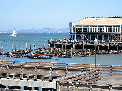 Fishermans Pier 39 bis 45 Foto 