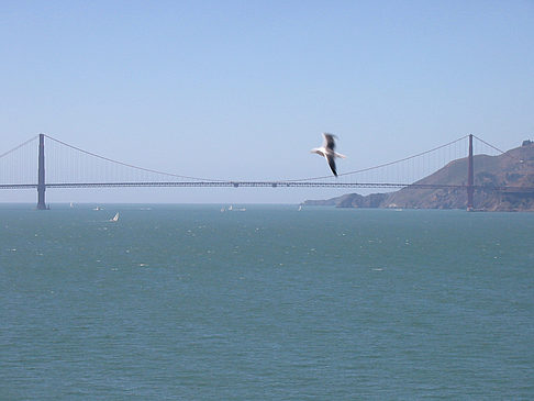 Golden Gate Bridge Foto 