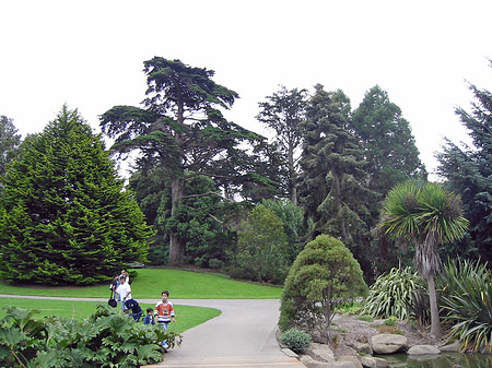 Golden Gate Park mit Botanischen Garten Fotos