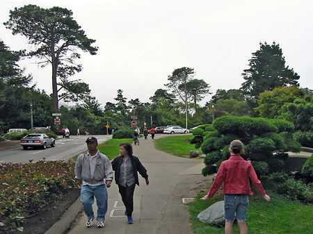 Foto Golden Gate Park mit Botanischen Garten - San Francisco