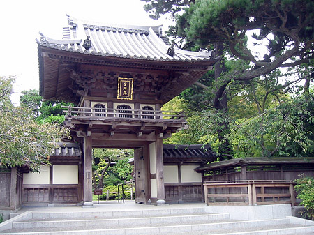 Fotos Golden Gate Park mit Botanischen Garten