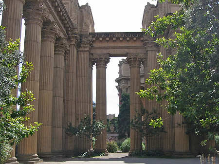 Palace of Fine Arts Foto 